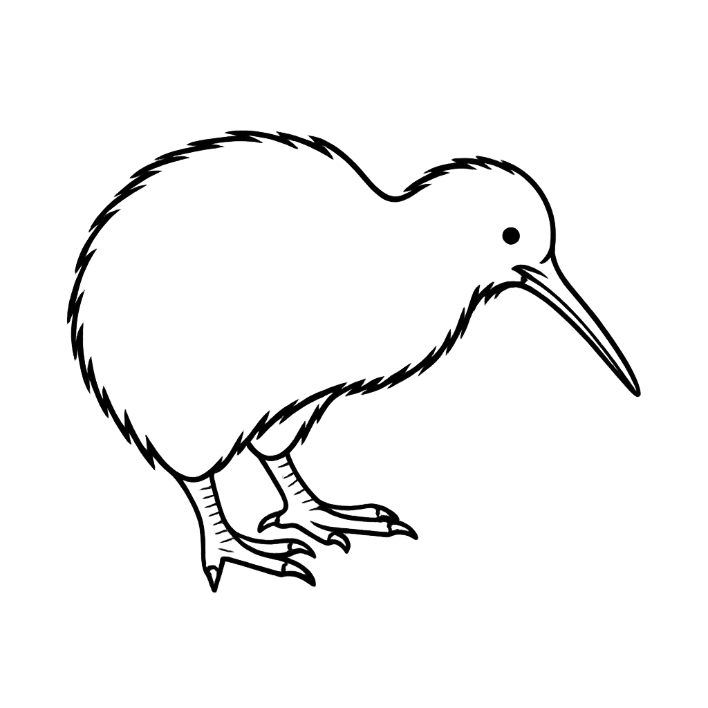 Black line drawing of a kiwi bird on a white background